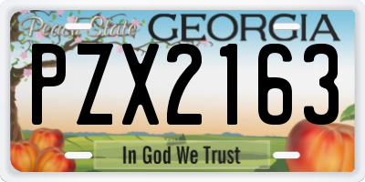 GA license plate PZX2163