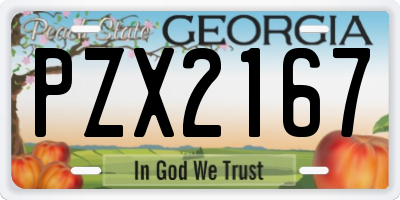 GA license plate PZX2167