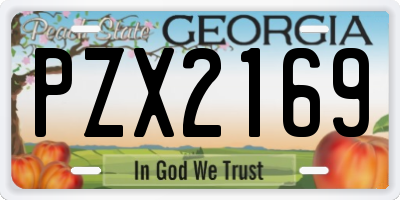 GA license plate PZX2169