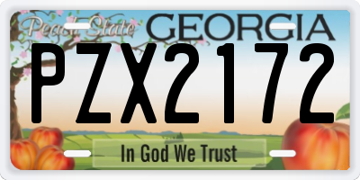 GA license plate PZX2172
