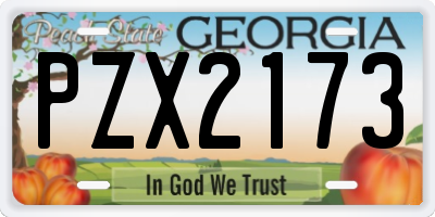 GA license plate PZX2173