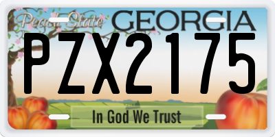 GA license plate PZX2175