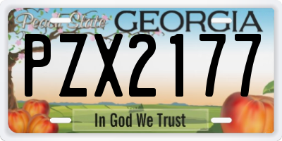 GA license plate PZX2177