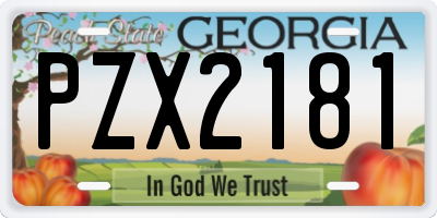 GA license plate PZX2181