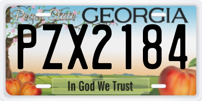 GA license plate PZX2184