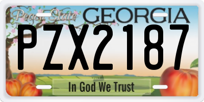 GA license plate PZX2187