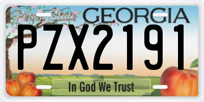 GA license plate PZX2191