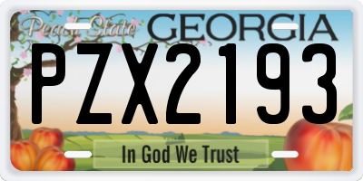 GA license plate PZX2193