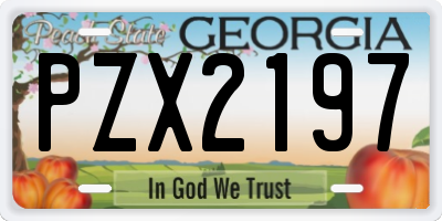 GA license plate PZX2197