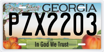 GA license plate PZX2203