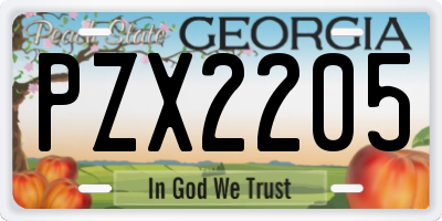 GA license plate PZX2205