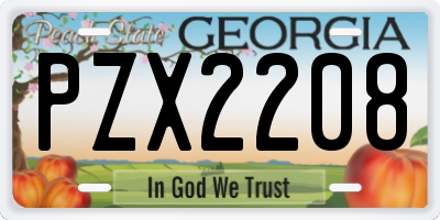 GA license plate PZX2208