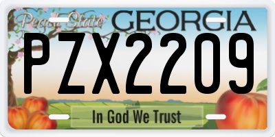 GA license plate PZX2209