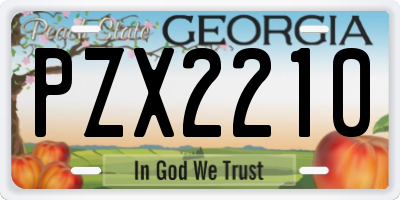 GA license plate PZX2210