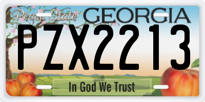 GA license plate PZX2213