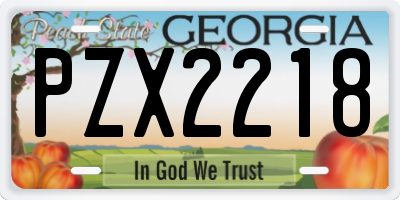 GA license plate PZX2218