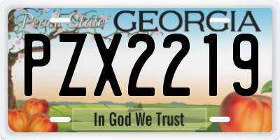GA license plate PZX2219