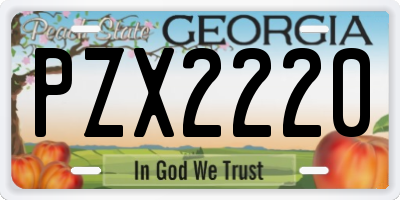 GA license plate PZX2220