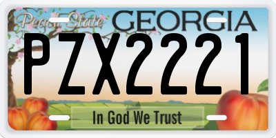 GA license plate PZX2221