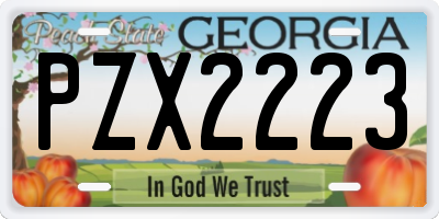 GA license plate PZX2223