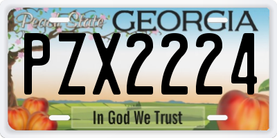 GA license plate PZX2224