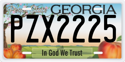 GA license plate PZX2225