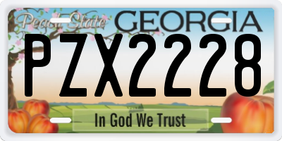 GA license plate PZX2228