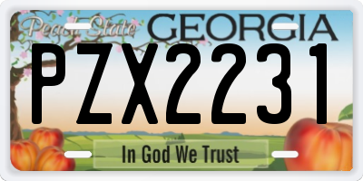 GA license plate PZX2231