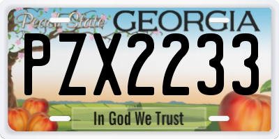 GA license plate PZX2233