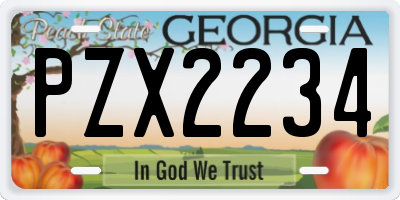 GA license plate PZX2234