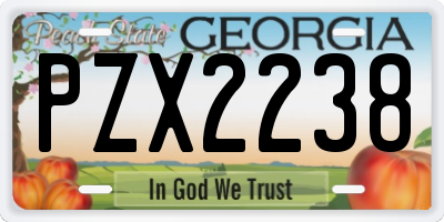 GA license plate PZX2238