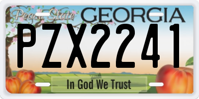 GA license plate PZX2241