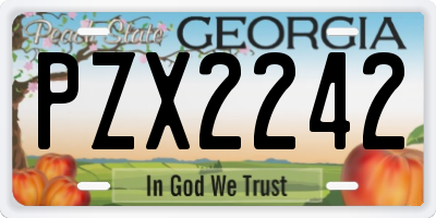 GA license plate PZX2242