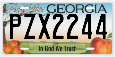 GA license plate PZX2244