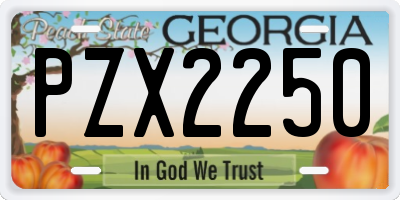 GA license plate PZX2250