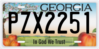 GA license plate PZX2251