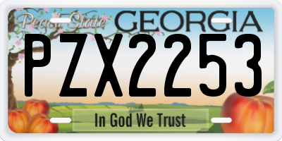 GA license plate PZX2253