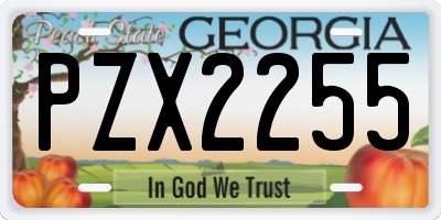 GA license plate PZX2255