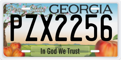 GA license plate PZX2256
