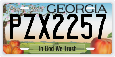GA license plate PZX2257