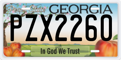 GA license plate PZX2260