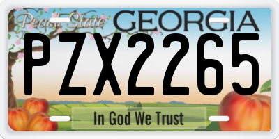 GA license plate PZX2265