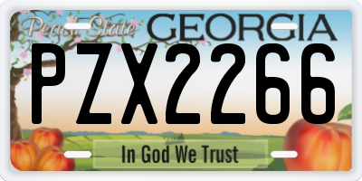 GA license plate PZX2266