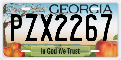 GA license plate PZX2267