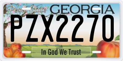 GA license plate PZX2270