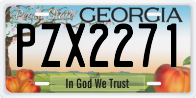 GA license plate PZX2271