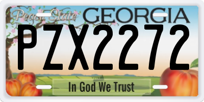 GA license plate PZX2272