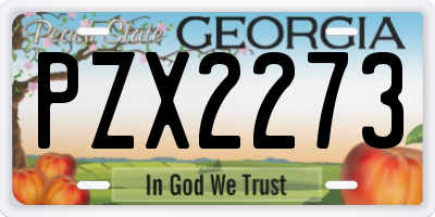 GA license plate PZX2273