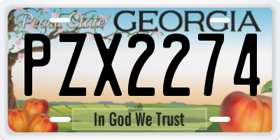 GA license plate PZX2274