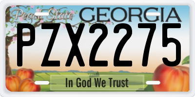 GA license plate PZX2275